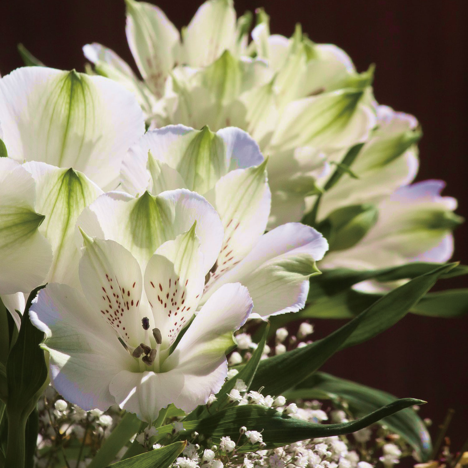 定期集会のご案内